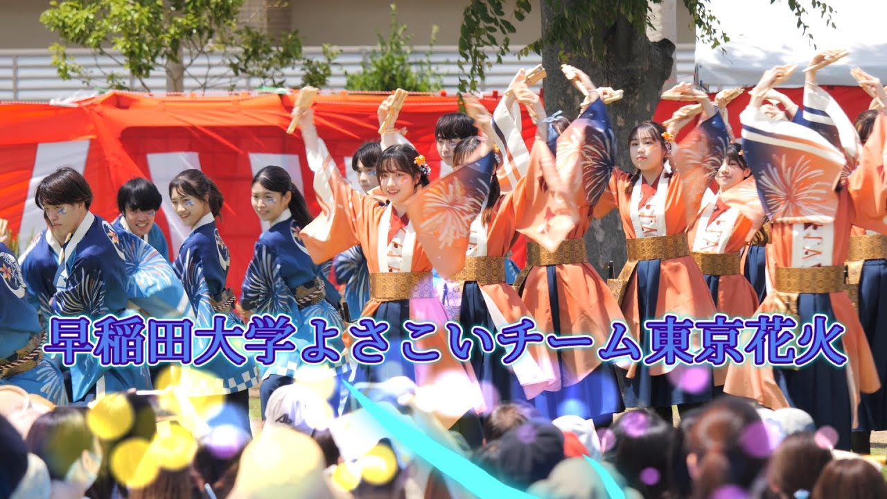 早稲田大学よさこいチーム東京花火　湘南よさこい祭2023（第18回）2023年6月4日（日）
