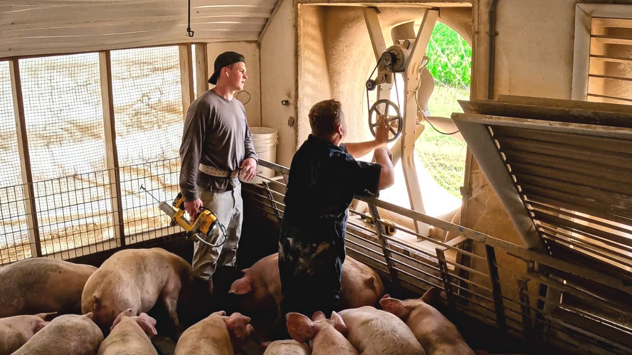Hog Barn Repairs