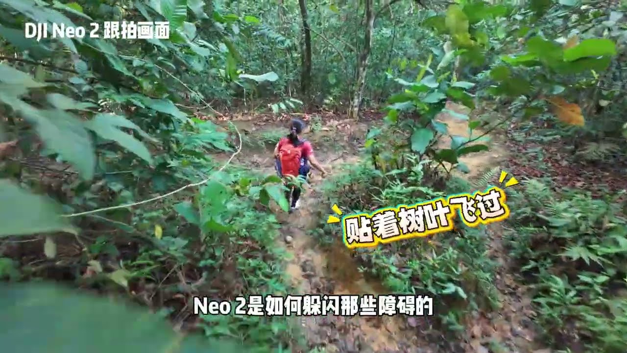 DJI Neo 2｜飞进森林，避障真的靠谱吗？
