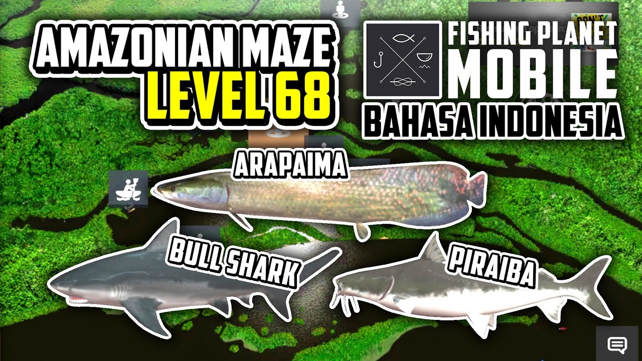 Amazonian Maze Game Fishing Planet | Level 68 | Arapaima, Bull Shark, Piraiba Fishing Planet Android