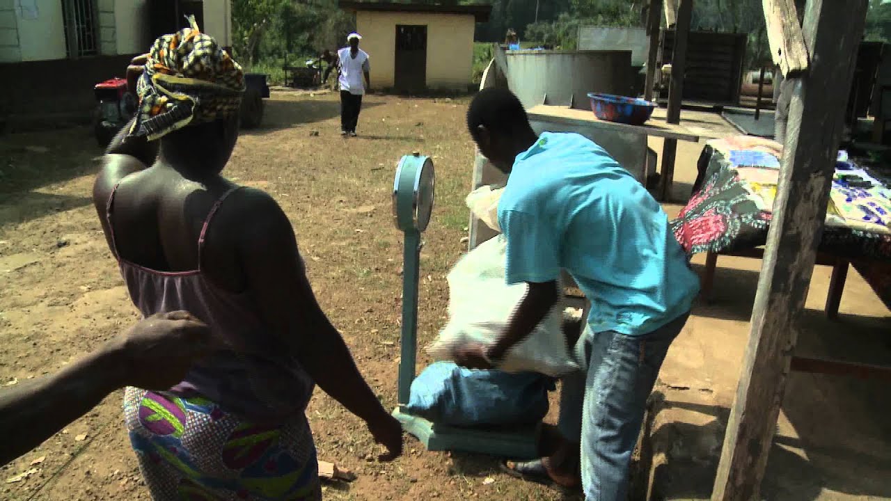 Agribusiness for Africa's Prosperity