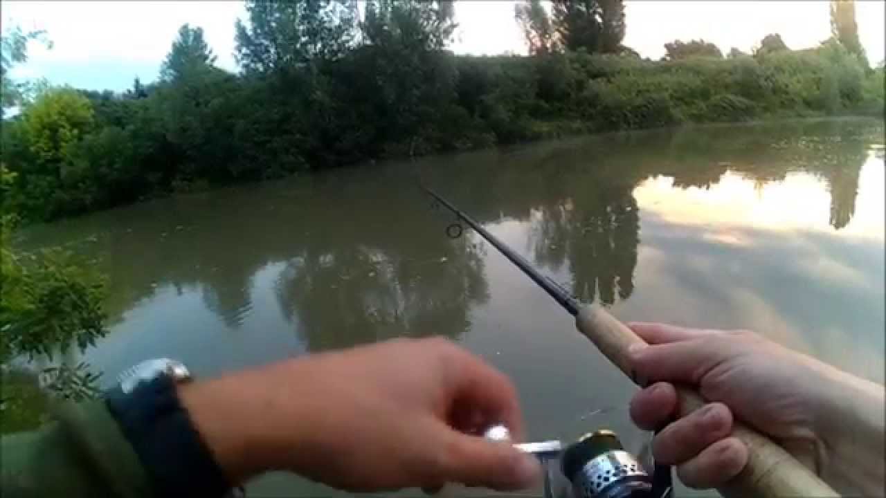 Spinning Catfish,June 2015
