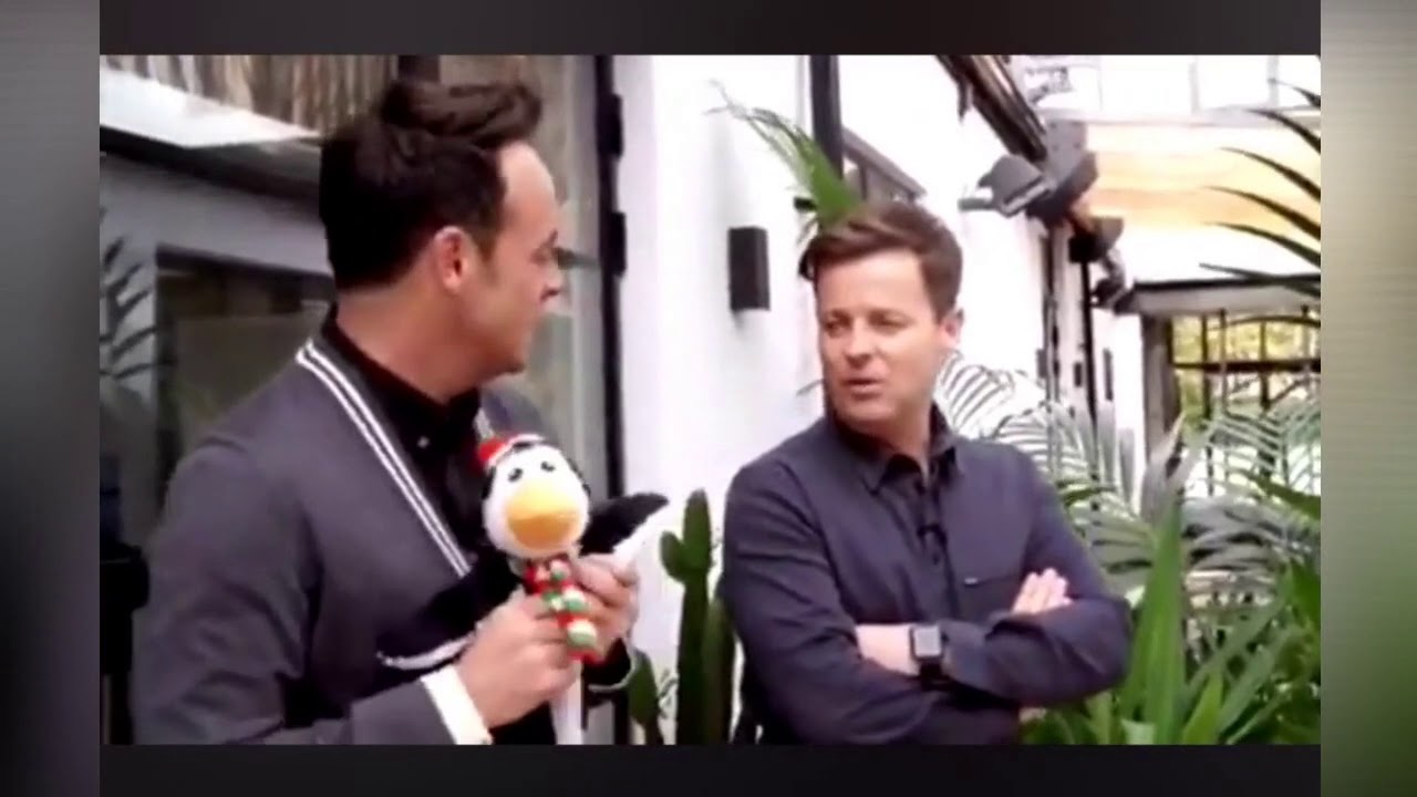 Ant and Dec meet guide dog puppies named after them 💕