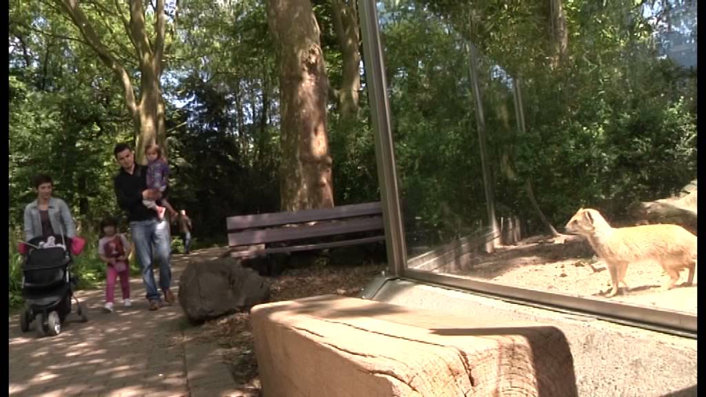 Zoo Dortmund (Offizieller Imagefilm)