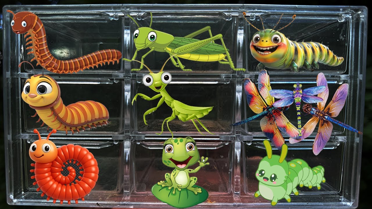 Catch Stranger Insects in the Vegetable garden Millipede, Mantis, Caterpillar, Frog, Grasshopper