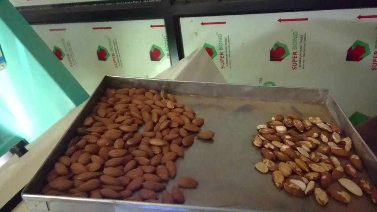 Unique almond sorter
