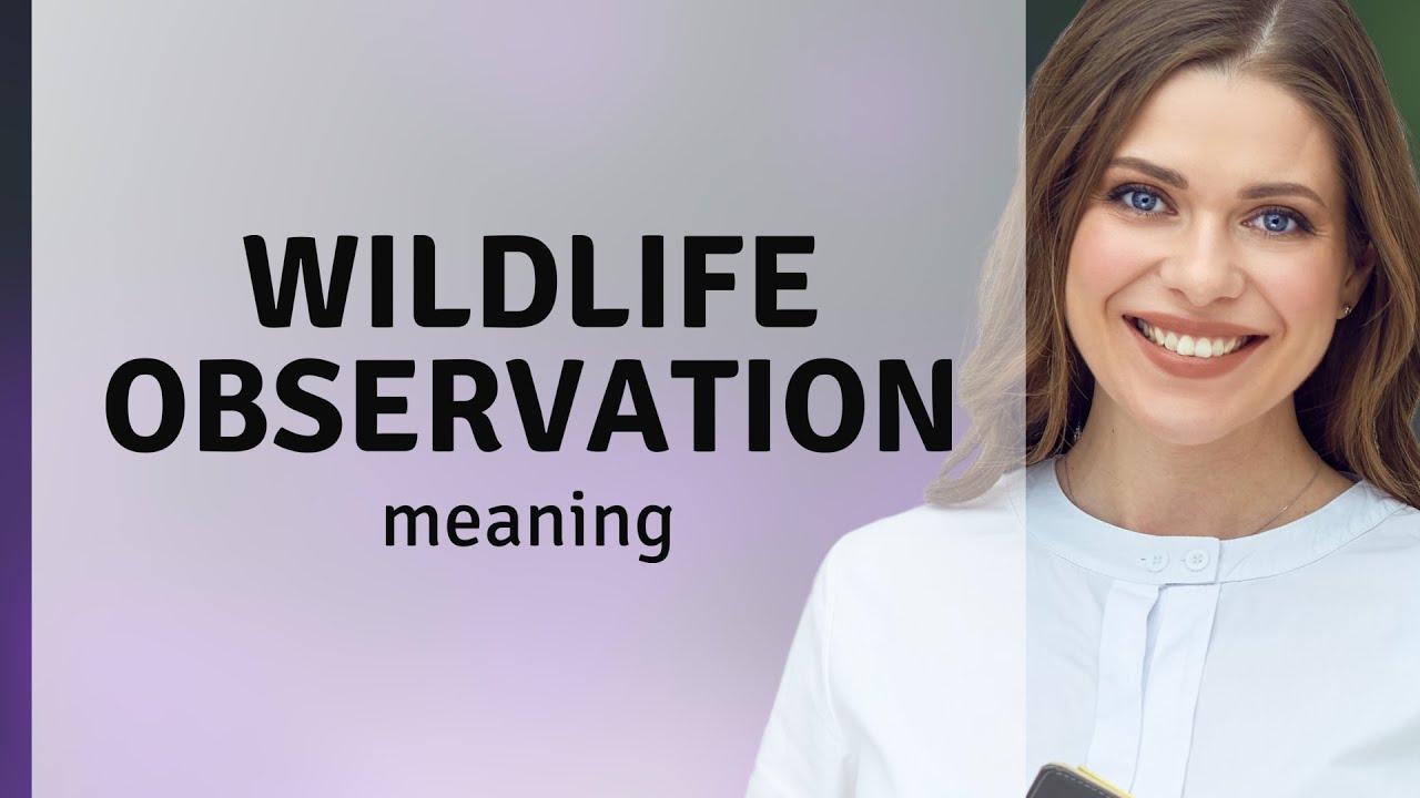 Discovering the World Through Wildlife Observation