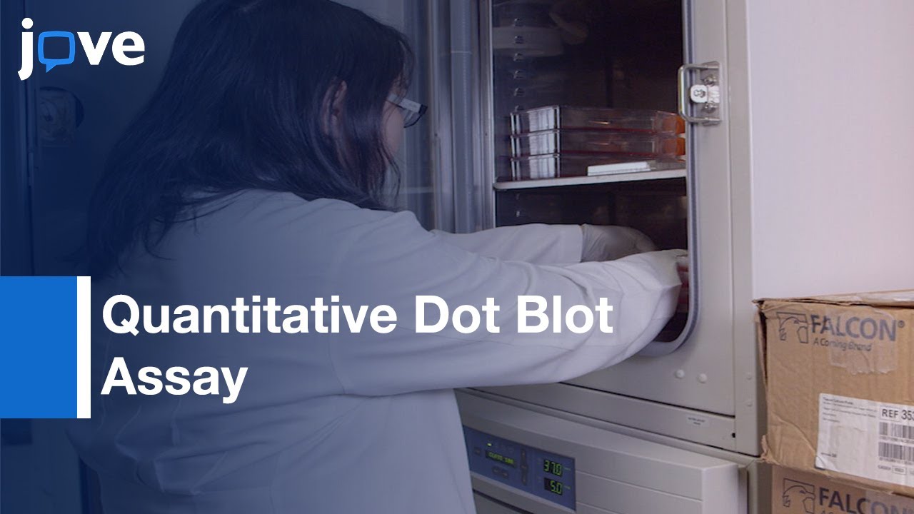 AAV Titration-Functional Assessment: Adeno- Virus Assembly-Activating Proteins l Protocol Preview
