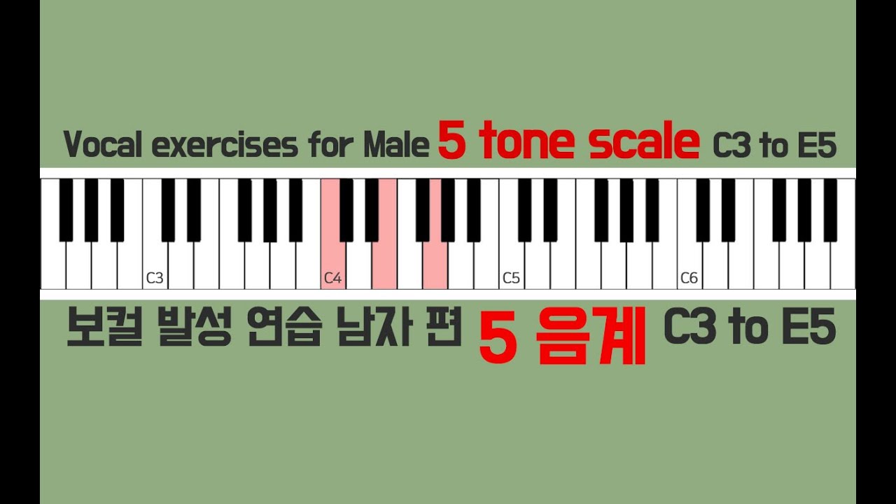 vocal warm up exercises male piano scale 5tone / 보컬 발성연습 피아노 스케일 5음계 남자편
