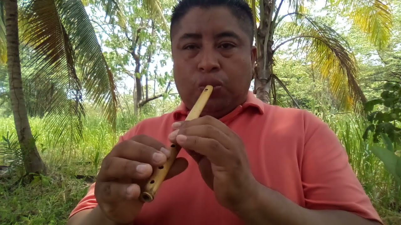 flautas de carrizo tabasqueñas con tapón de madera