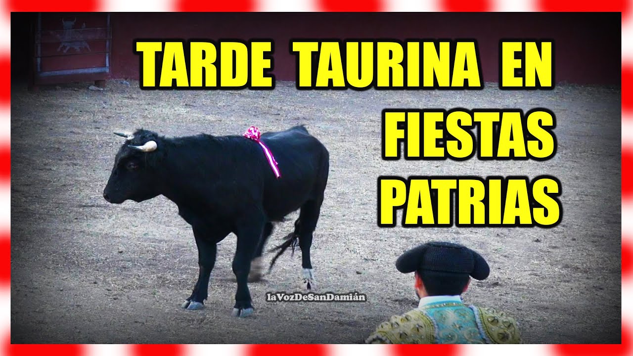 TARDE TAURINA en Fiestas Patrias 👍