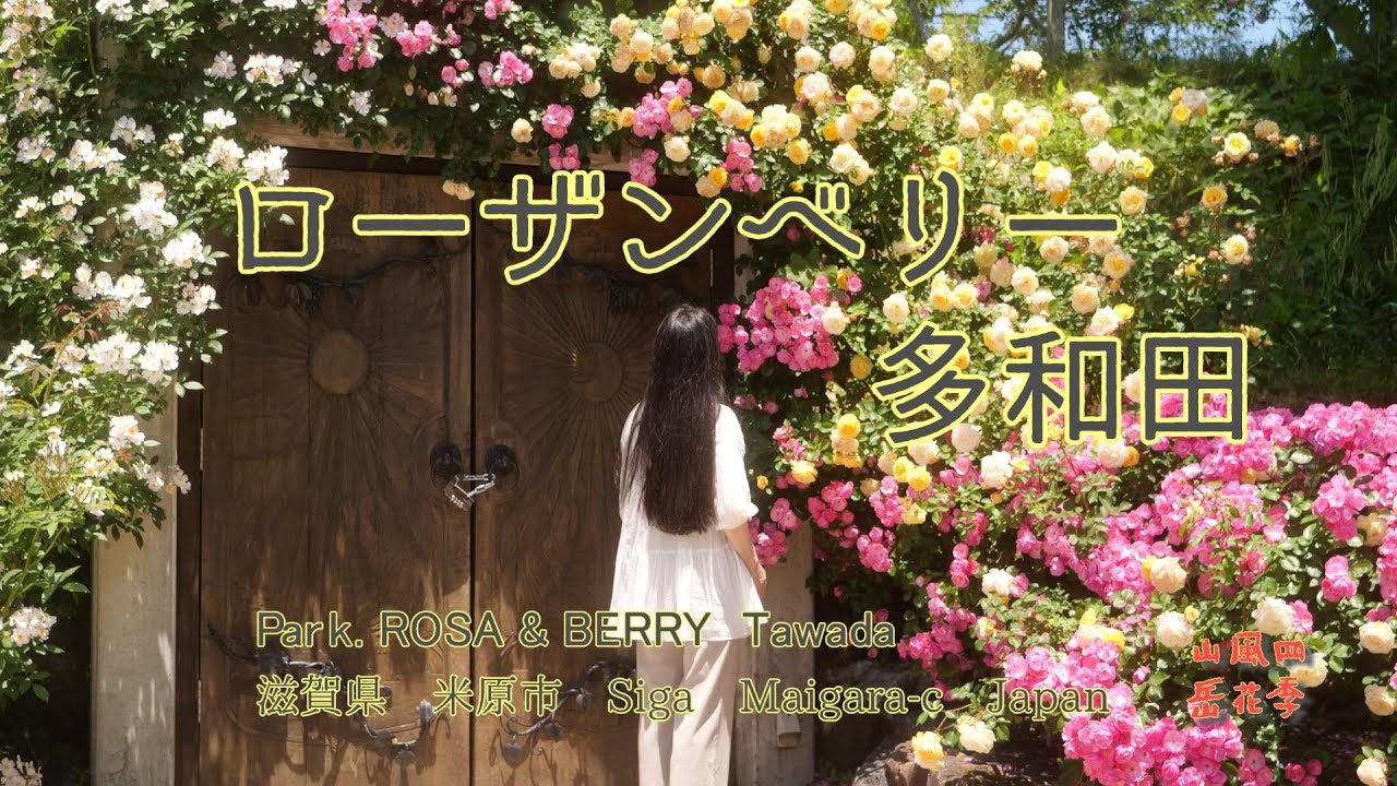 【4K】ローザンベリー多和田 　前編　バラ　We have added subtitles in a variety of languages.