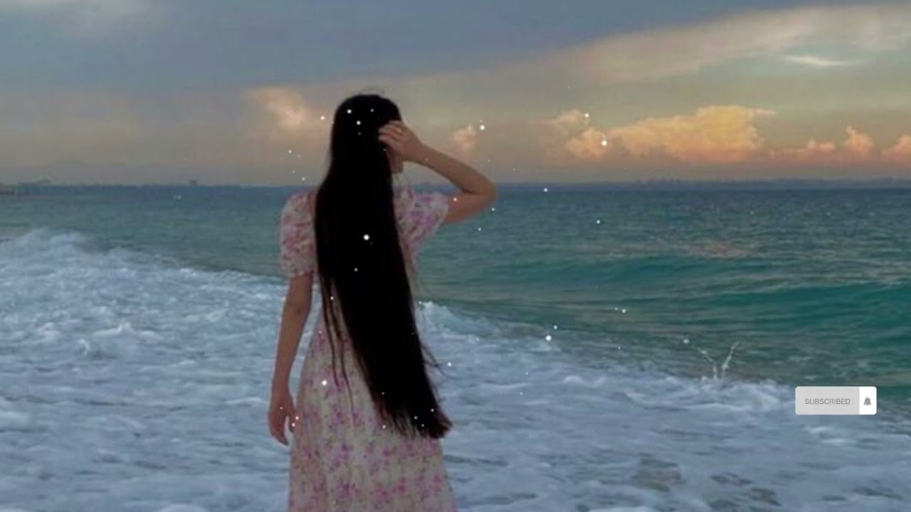 أحلام - مع السلامة