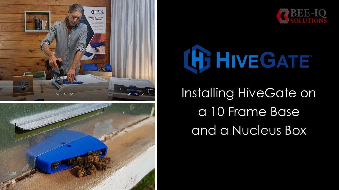 Installing HiveGate on 10 frame base and nuc box