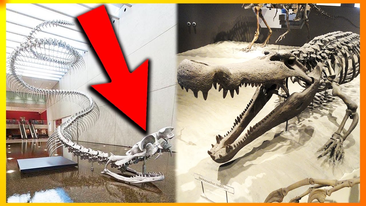 10 Gigantiske Forhistoriske Væsner