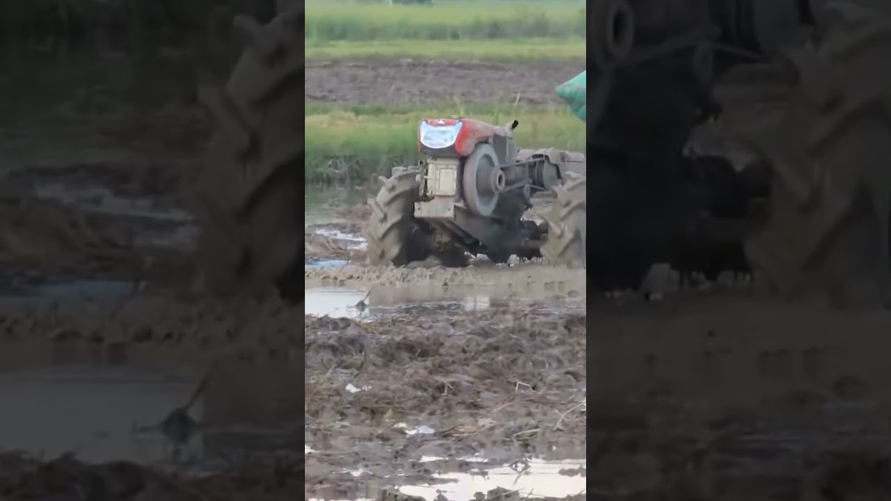 Small Tractor Transport Rice