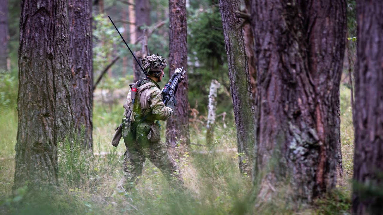 Skarpe skud i skoven