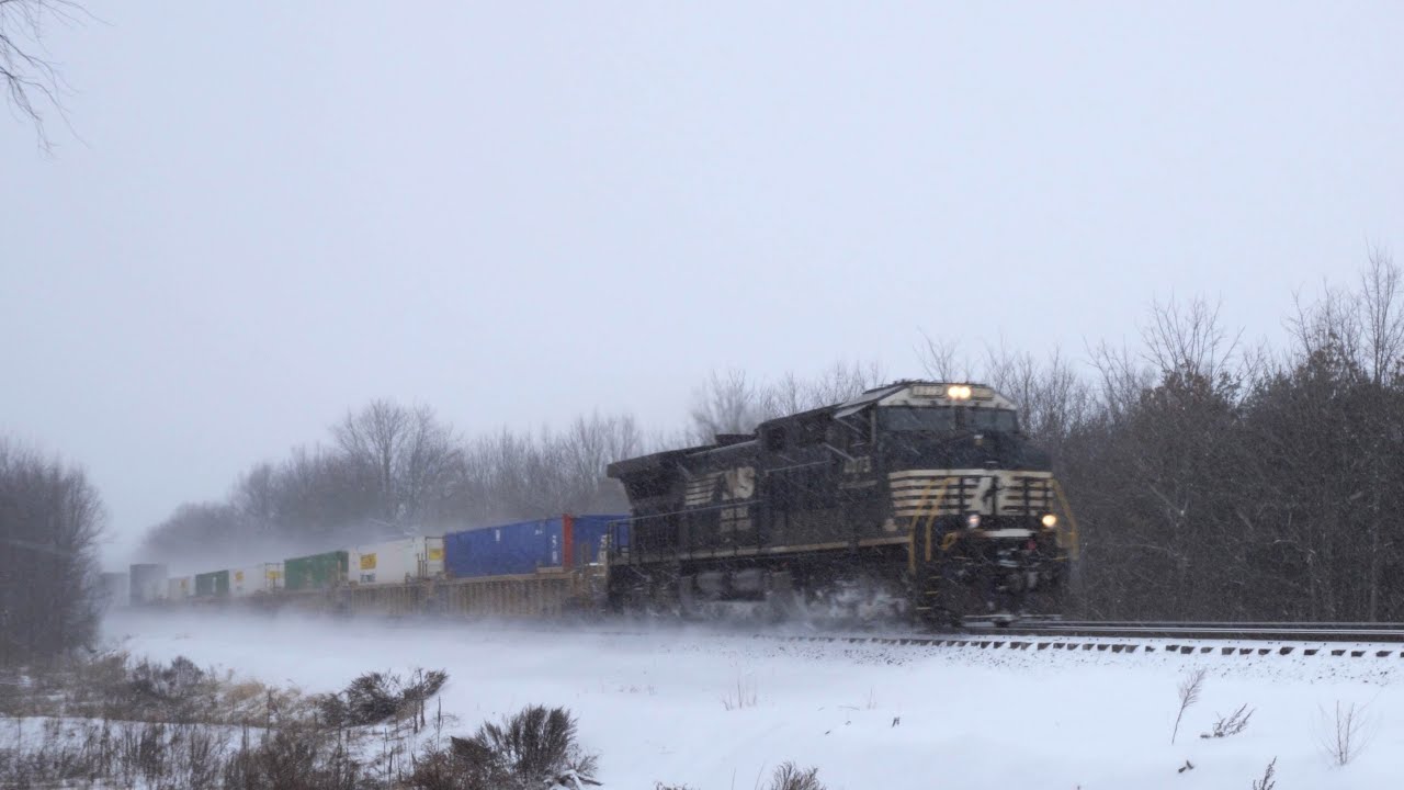 NS 4073 Leads 24M Solo