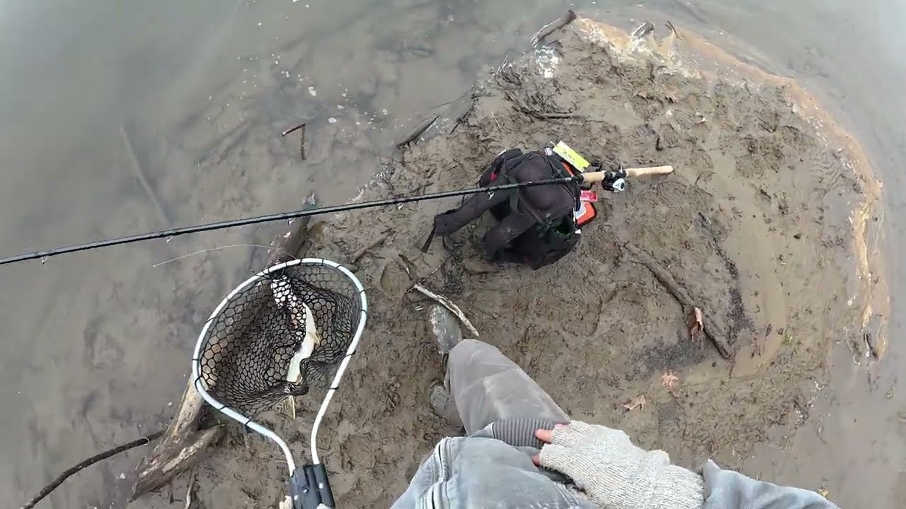 Рыбалка в Аллегейни наконец-то замедлилась...