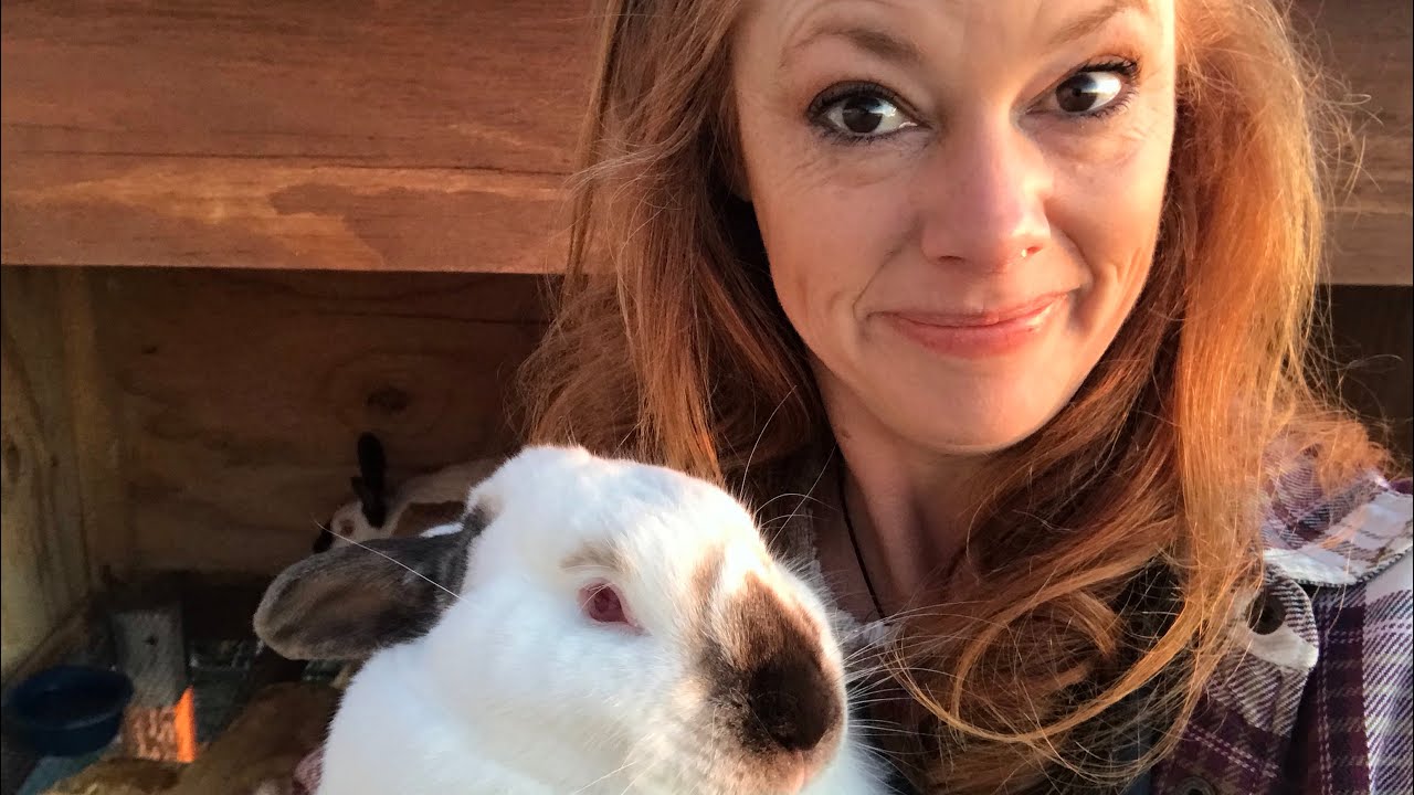 Comprehensive Beginner Guide to Raising Meat Rabbits