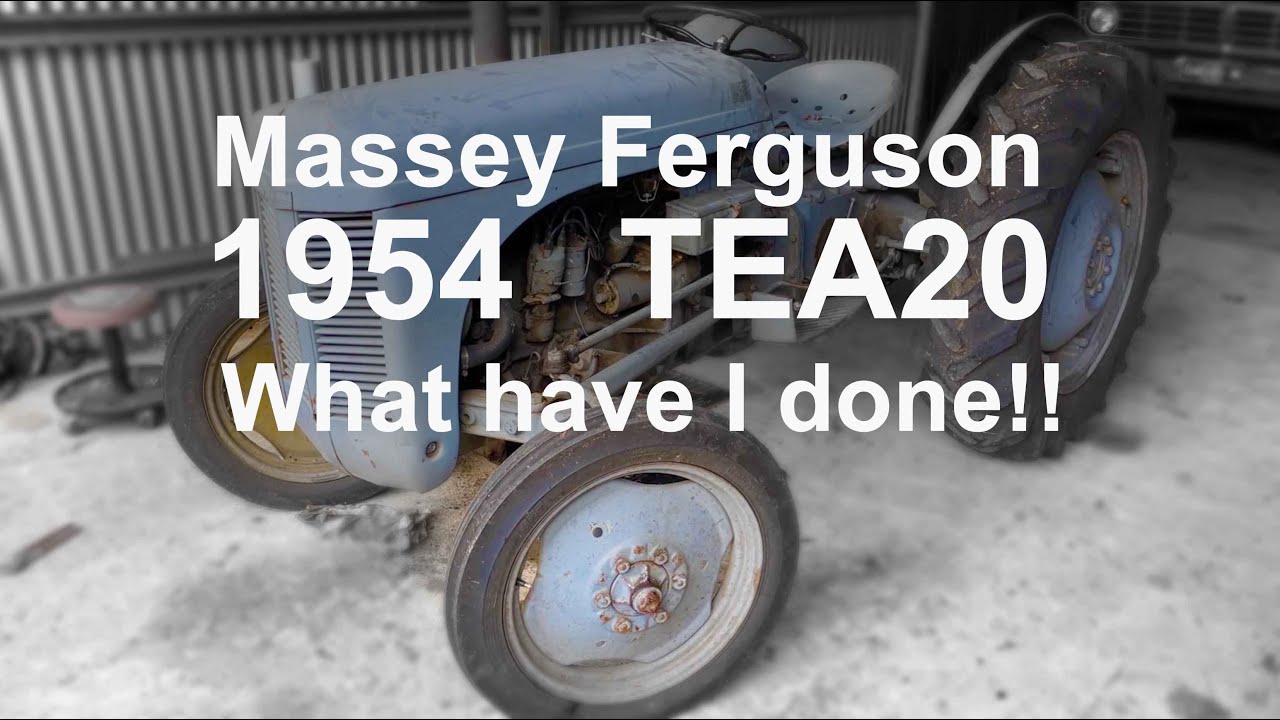 Our little Grey - TEA20 (Massey Ferguson)