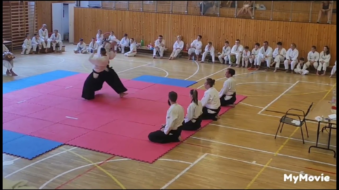 Aikido bemutató 2022.07.01. Mező