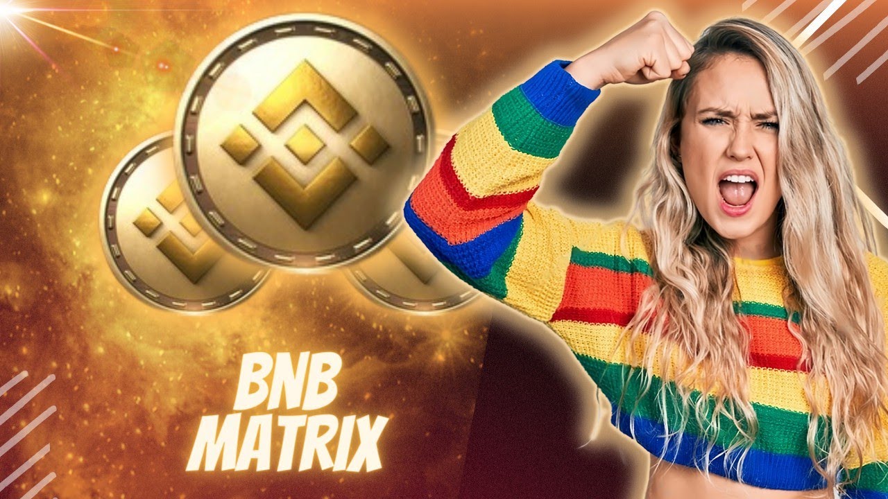 BNB Matrix | New ROI Dapp | Passive Income