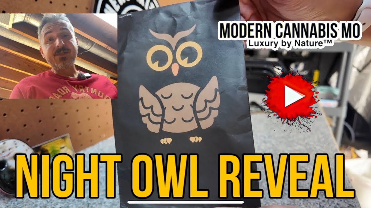 Night Owl Seeds Unbagging!🦉📨 Galaxy Brain, Strawberry Milk & Qookies Remix #2 Genetics Reveal🔥🌿