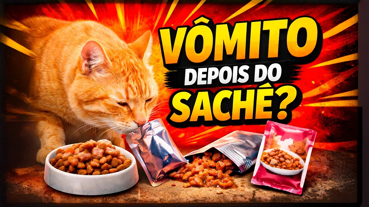 CUIDADO! Esse Erro com Sachê Está Causando VÔMITO no Seu Gato