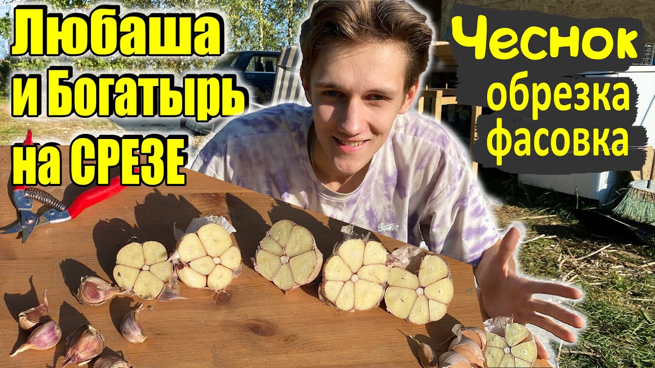Как ЛЕГКО расфасовать ЧЕСНОК в мешки - Новые самоделки