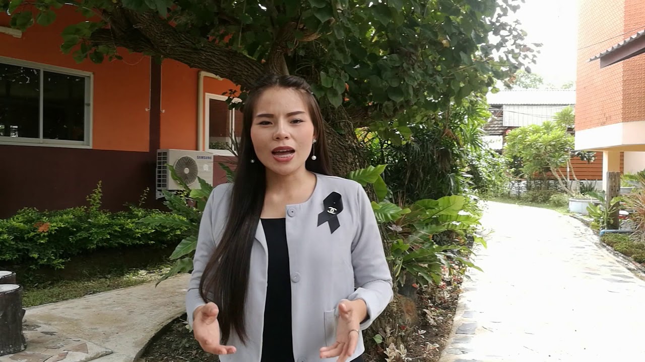 โรงเรียนพิจิตรปัญญานุกูล VTR ประกันคุณภาพ 4 มาตรฐาน