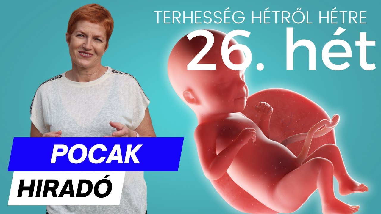 Terhesség 26. hete ∣ Terhesség hétről hétre