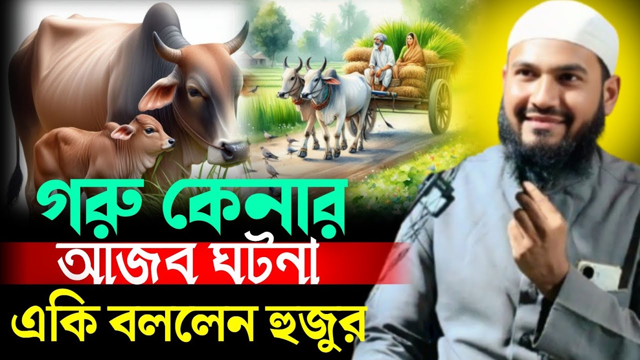 গরু কেনার আজব ঘটনা ? .        এটি বললেন হুজুর।         মমতাজুল ইসলাম 