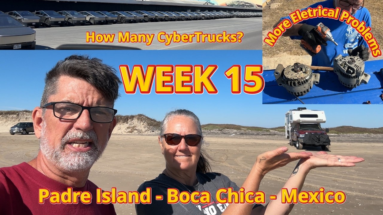 Week 15
