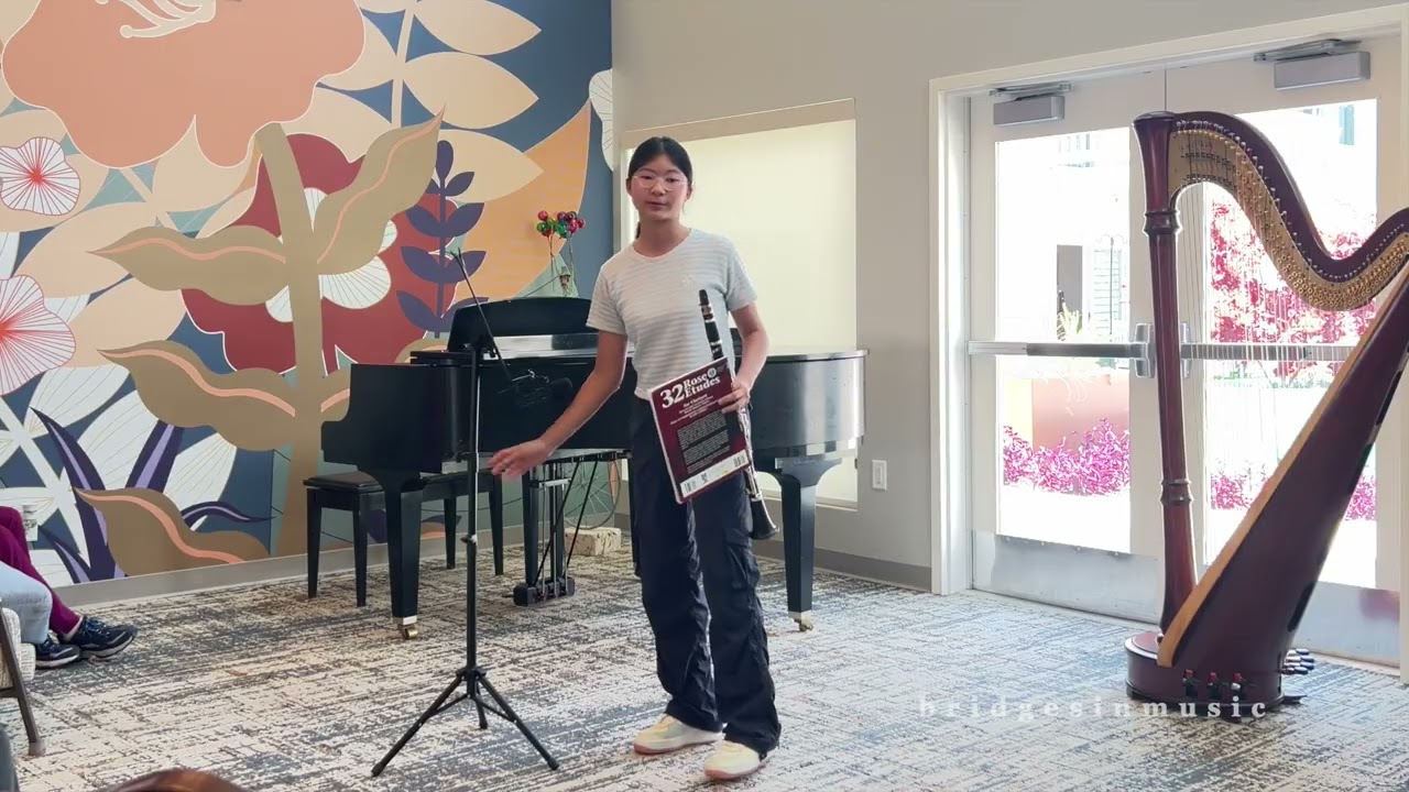 Bridges in Music Performance 206