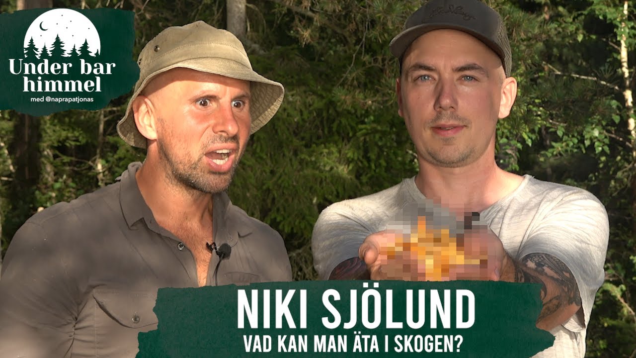 Vad kan man äta i skogen? Svamp och vilda växter - med @neonatur  | Under bar himmel S02E08