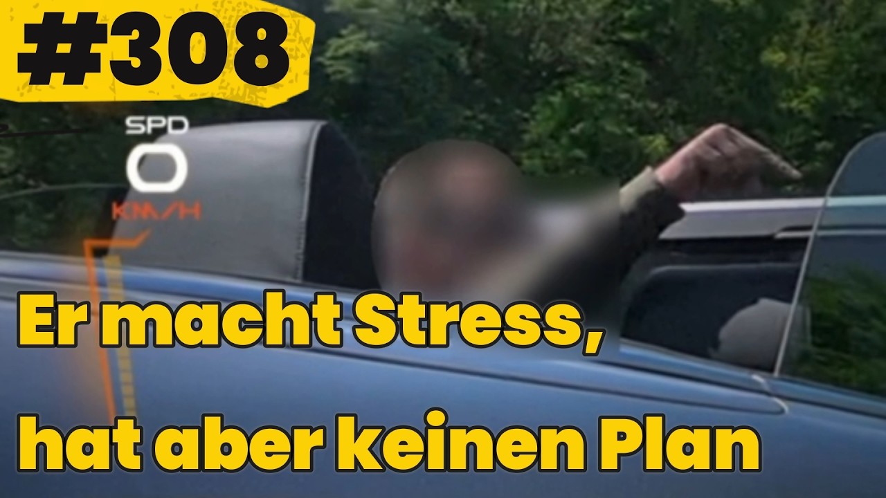 Road-Rage und Nötigung, kuscheln mit LKW und Radfahrerin stürzt - FDD - Folge 