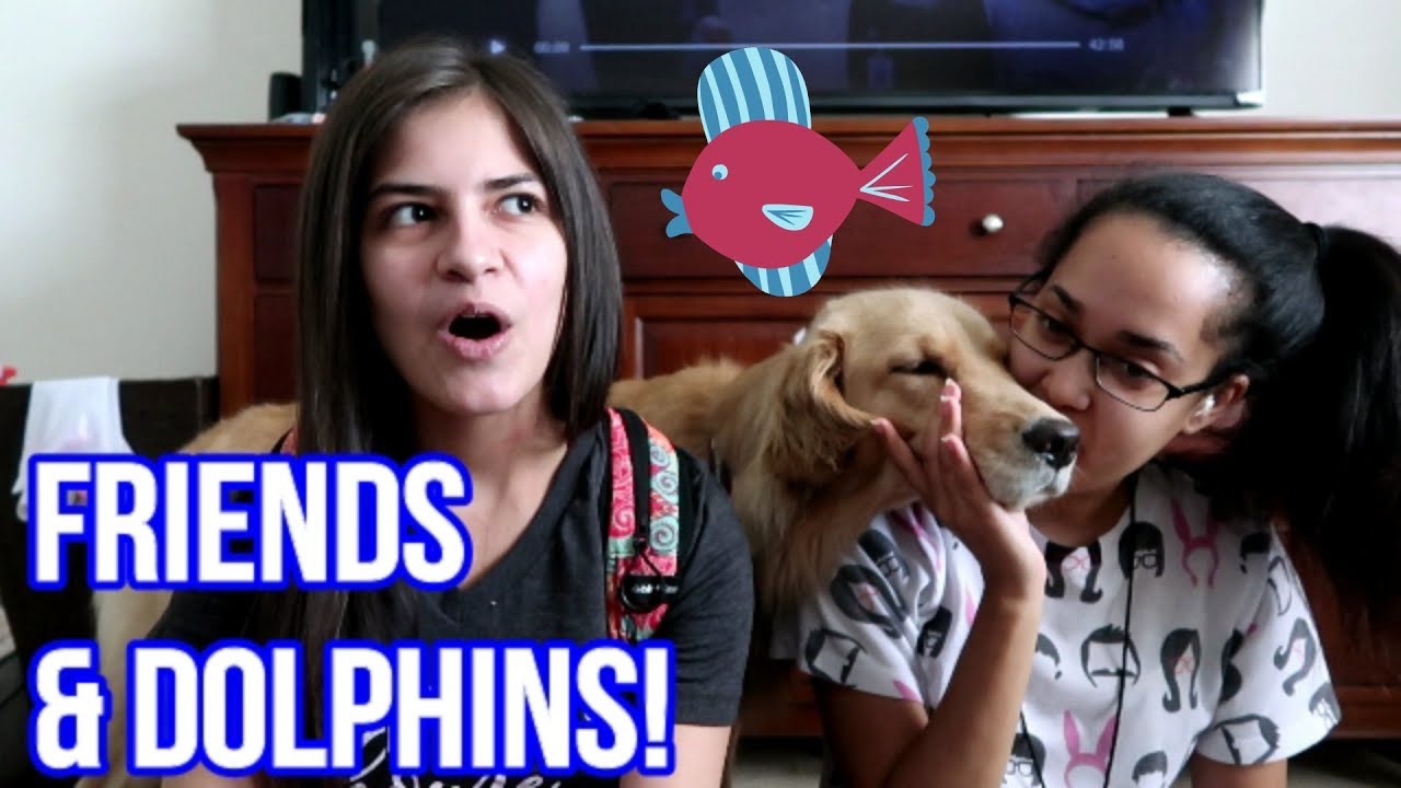 🐬😍 DOLPHINS in Our Backyard & Best Friend Storytime! 📖 (2/11/18)