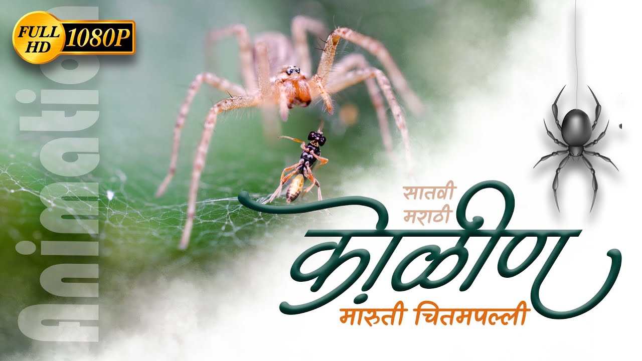 कोळीण सातवी मराठी/ kolin 7th Marathi/१६.कोळीण/इयत्ता सातवी /maruti chitampalli/मारुती चितमपल्ली