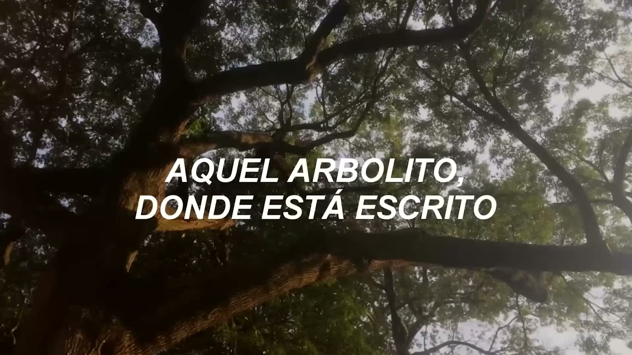 Grupo Nectar Internacional - El Arbolito | Video con Letra (Video Lyric)