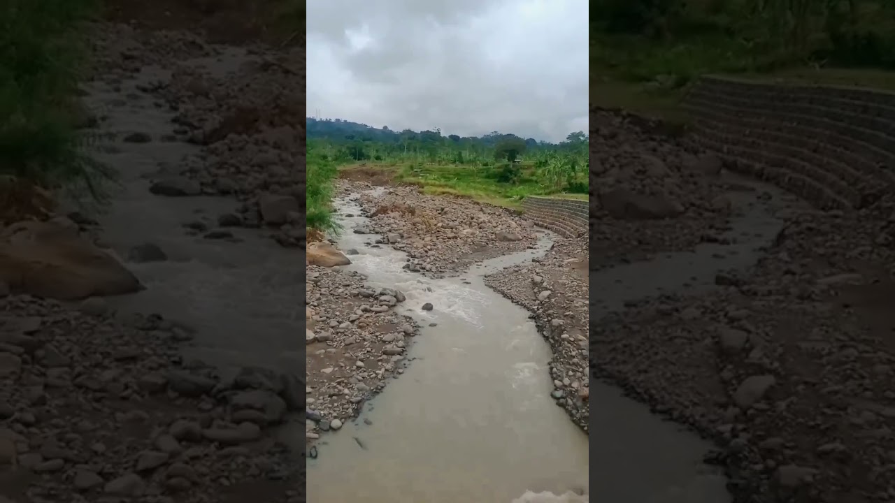 Plosok desaku