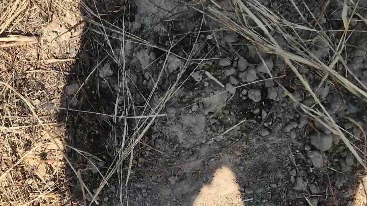 Nhượng 1ha thuận tiện đường nước giá 385tr.ĐT zalo 0398670392