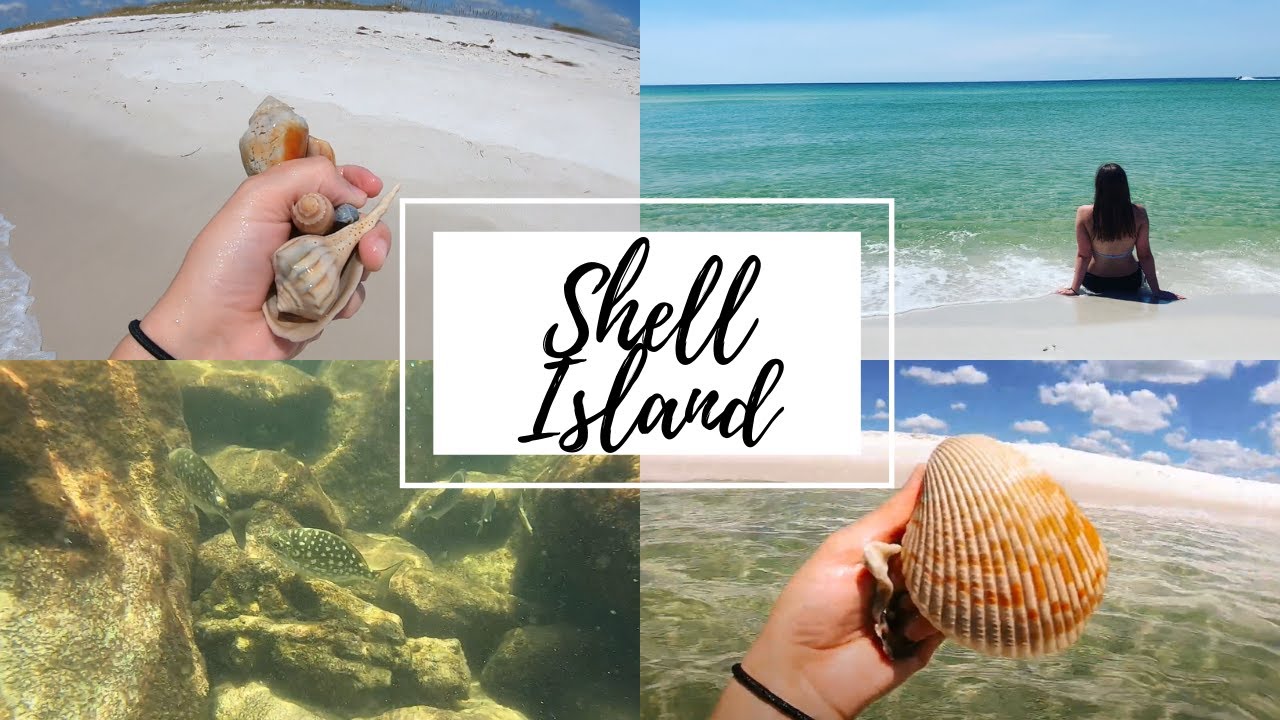 SHELL ISLAND Панама-Сити-Бич, Флорида