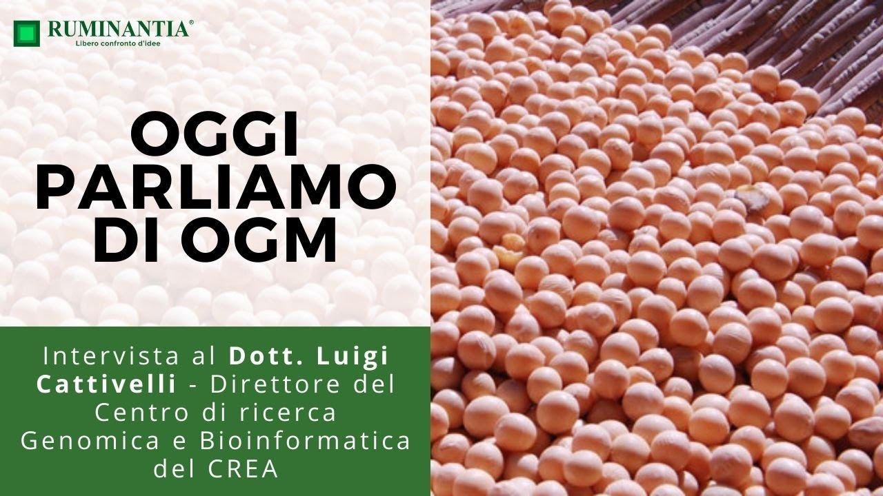 Oggi parliamo di OGM