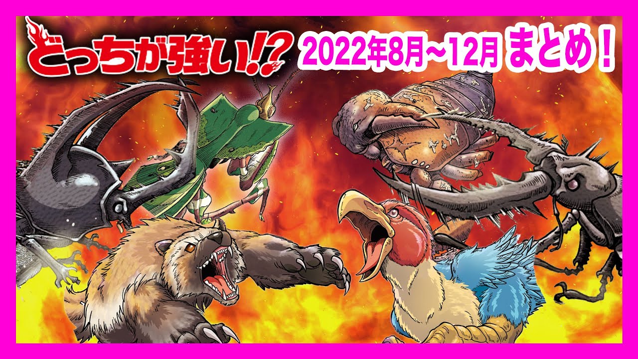 【どっちが強い総集編】動物たちの熱き戦い!カブトムシvsクワガタの昆虫対決!自転車や射撃などのオリンピック競技も!動物たちの灼熱した戦いを一気見!勝つのはどっちだ!?【漫画】【オリンピック】
