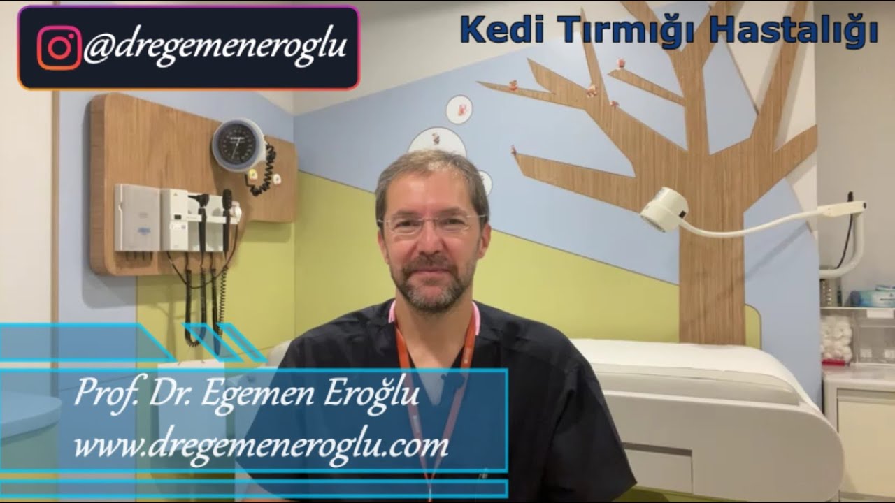 Kedi Tırmığı Hastalığı... Prof.Dr. Egemen Eroğlu