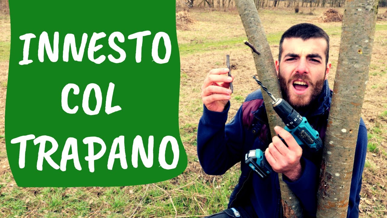 INNESTARE con il TRAPANO: come fare innesti a foro meccanico