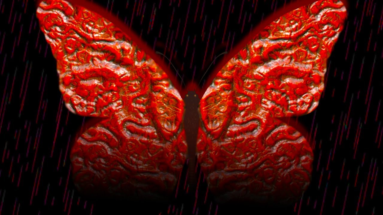 She's Not The Same Anymore...| The Butterfly