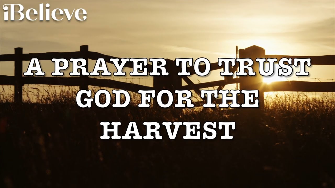 A Prayer to Trust God for the Harvest