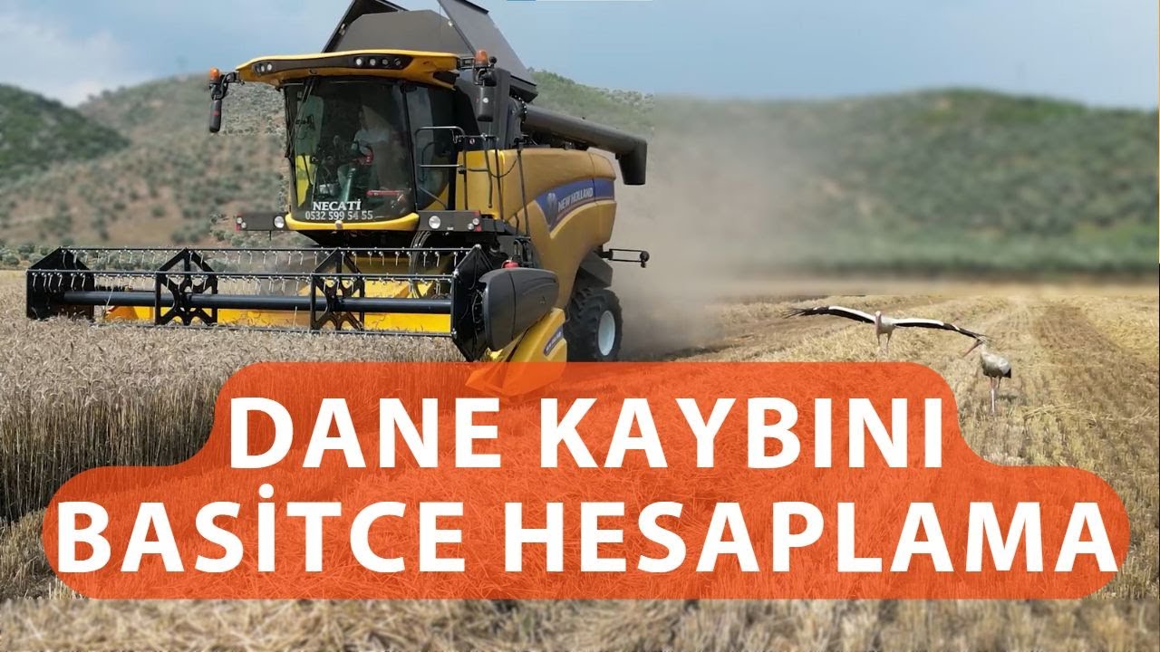 Arpa buğday biçerdöverde dane kaybı basit bir şekilde nasıl hesaplanır?